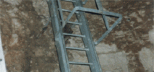 Access Ladder